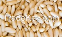 Health Food Hulled Pine Nuts Wholesale Prices