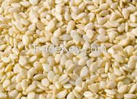 Top Quality Natural Sesame Seeds Roasted And Hulled Sesame Seeds