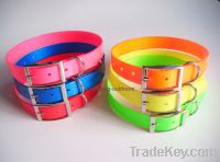 TPU dog collar with square buckle for dog training