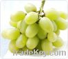 Sell grapes