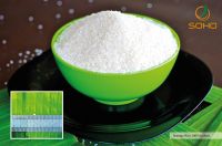 Sell Cambodia Jasmine Rice