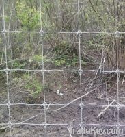 Sell grassland fence/ cattle fence/ field mesh