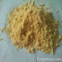 Ion exchange resin (powder)