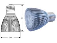 LED Spotlight AWL-P0002