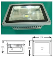 LED Tunnel Light AWL-T0002