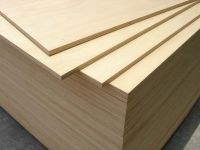 Birch Plywood