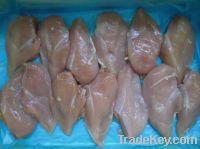 Frozen boneless halal chicken breast with ISO HACCP