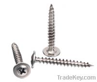 Self Tapping screws (Modify Truss Head )