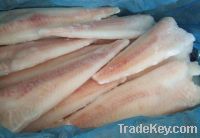 Pollock Fillets