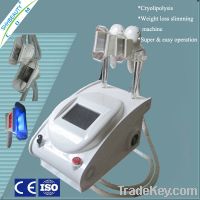 Cryolipolysis Slimming Machine with 2 Handpieces