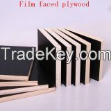 Film Faced Plywood / Shuttering Plywood / Constructionl Plywood