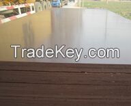Film faced Plywood for Construction ( Funiture plywood), commercial plywood