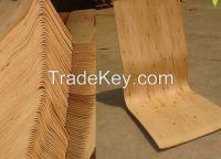 Normal, Popular curving Plywood sheets for chair