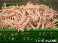 Sell Frozen Chicken Feet And Paws