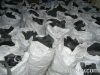 Sell Bbq Charcoal and hard wood charcoal