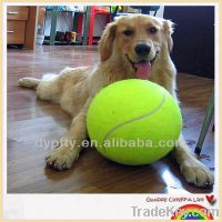 Sell 2.5inch tennis ball for pet playing
