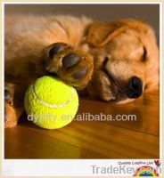 Sell Dog Playing Rubber Tennis Balls