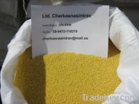 millet yellow hulled