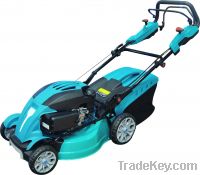 Sell Gasoline Lawn mower DM-LP51B