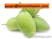 Sell Sweet mango fruit Vietnam