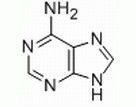 Adenine CAS No: 73-24-5