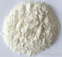 low price onion powder