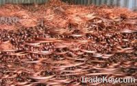 Copper Wire Scraps Suppliers | Copper Scrap Exporters | Copper Scrap Manufacturers | Cheap Copper Scrap | Wholesale Copper Scraps | Discounted Copper Scrap | Bulk Copper Scraps | Copper Scrap Buyer | Import Copper Scrap | Copper Scrap Importers | Copper S