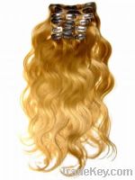 Sell Indian remy virgin human hair clip-ins extensions