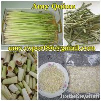 Sell Lemon Grass from Vietnam