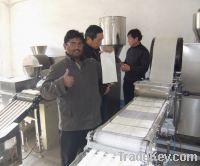 Sell spring roll pastry machine