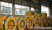 Stainless Steel Coil Hot Rolled (304)