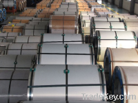 Hot Rolled Stainless Steel Coil (316L)