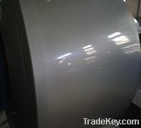 Stainless Steel (317 ASTM)