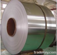 Stainless Steel (ASTM 309S)