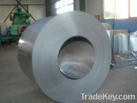 Galvanized Steel Coil