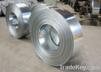 Stainless Steel Strip (0021)