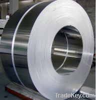 Stainless Steel Strip (410/430)