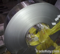 Stainless Steel Coil