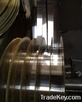 Stainless Steel Strip (316LN)