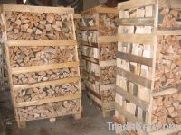 Firewood beech in pallets