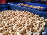 CASHEW KERNEL ORIGIN VIET NAM