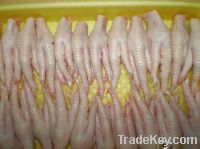 Export Chicken Paw | Chicken Feet Suppliers | Poultry Feet Exporters | Chicken Feets Traders | Processed Chicken Paw Buyers | Frozen Poultry Paw Wholesalers | Low Price Freeze Chicken Paw | Best Buy Chicken Paw | Buy Chicken Paw | Import Chicken Paw | Chi