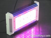 sell led grow light 150W (YOUTHS)