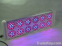 Sell led  P12 (180X3W) dimmable grow light