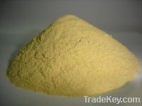 Sell Selenium-enriched Yeast(food grade)