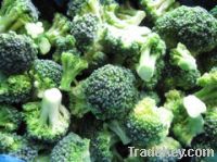 Sell IQF broccoli