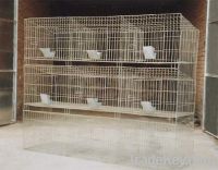 Male/ Father Rabbit Cage