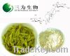 Sell Sweet tea Leaf Extract