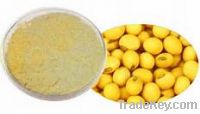 Sell Soy bean Extract 40% Isoflavines