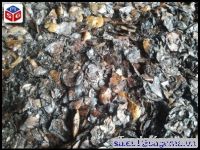 Sell Cashew Nut Shell Extracted